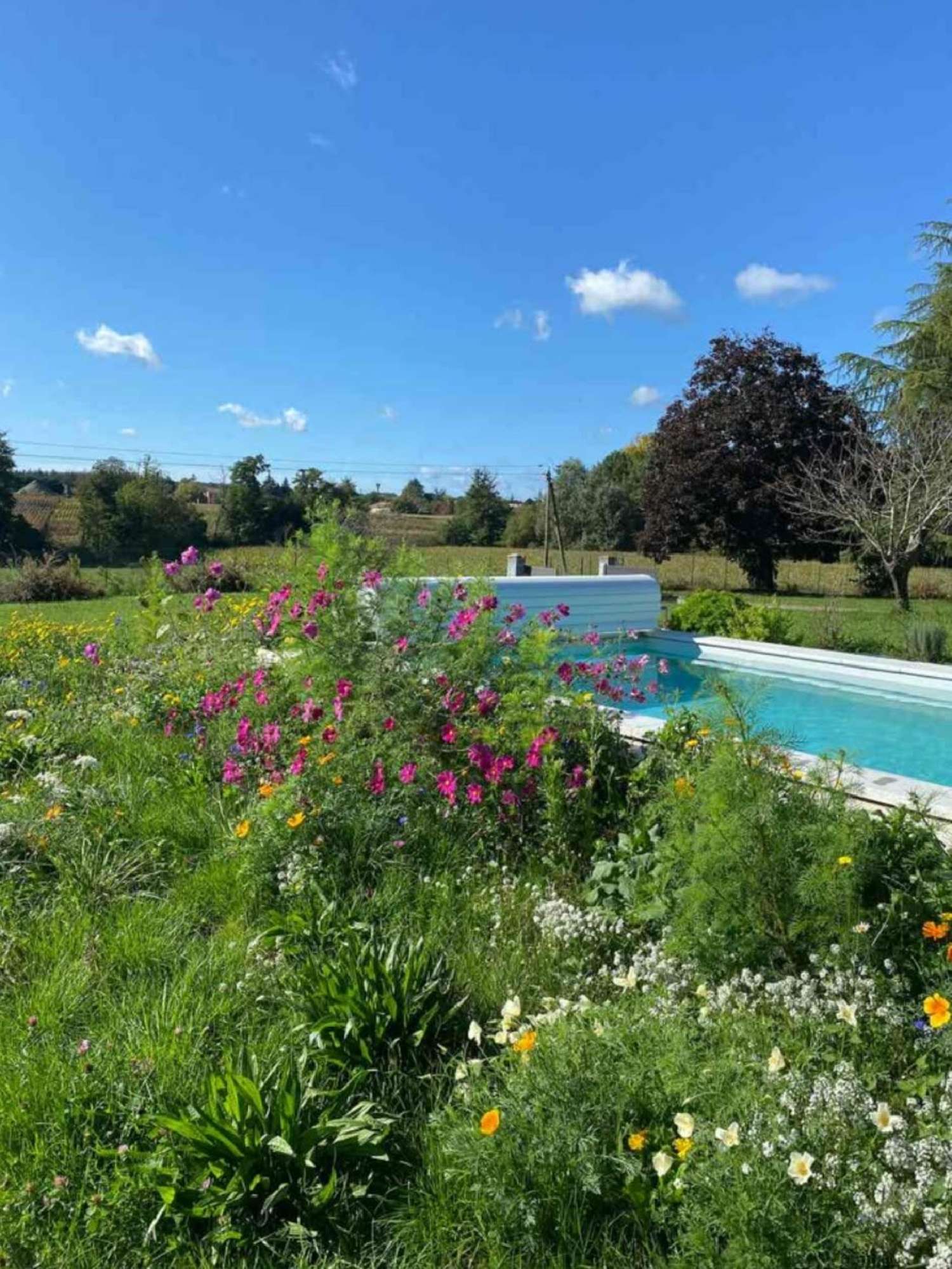 for sale house Calonges Lot-et-Garonne 2