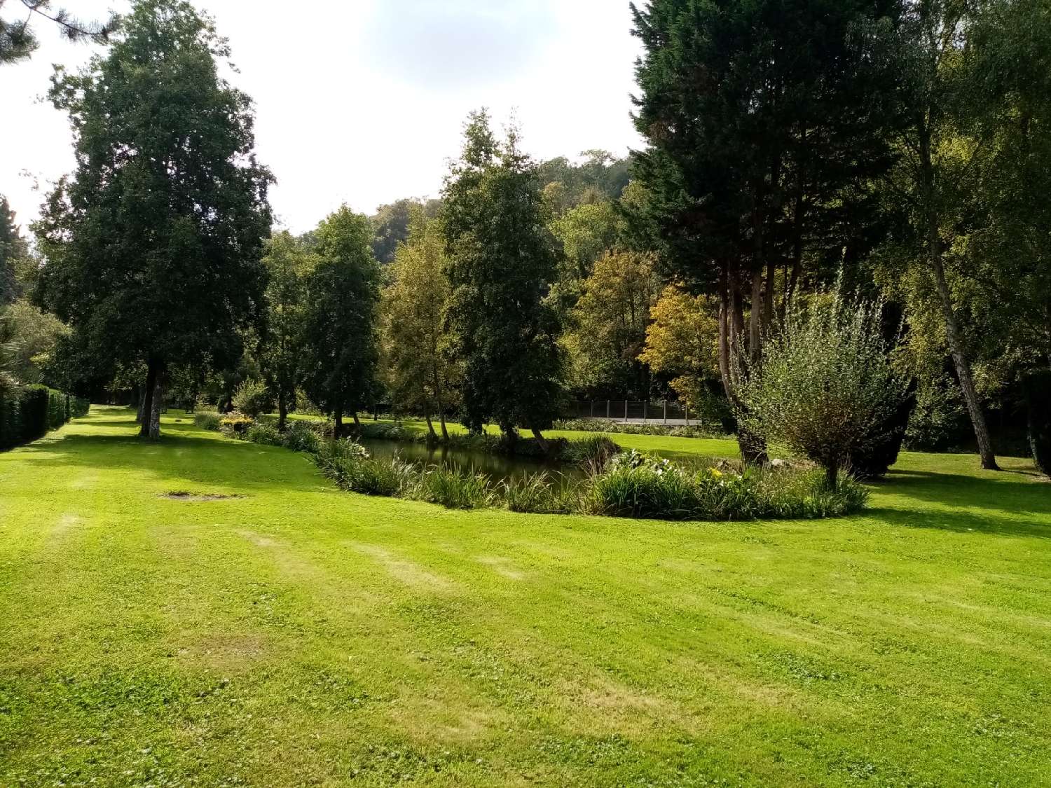 for sale house Cany-Barville Seine-Maritime 3