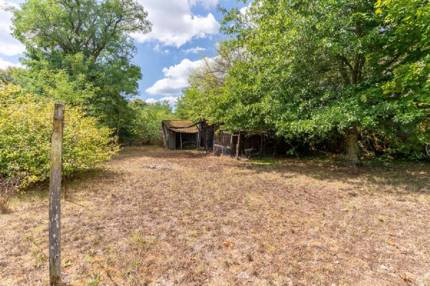 te koop huis Captieux Gironde 4