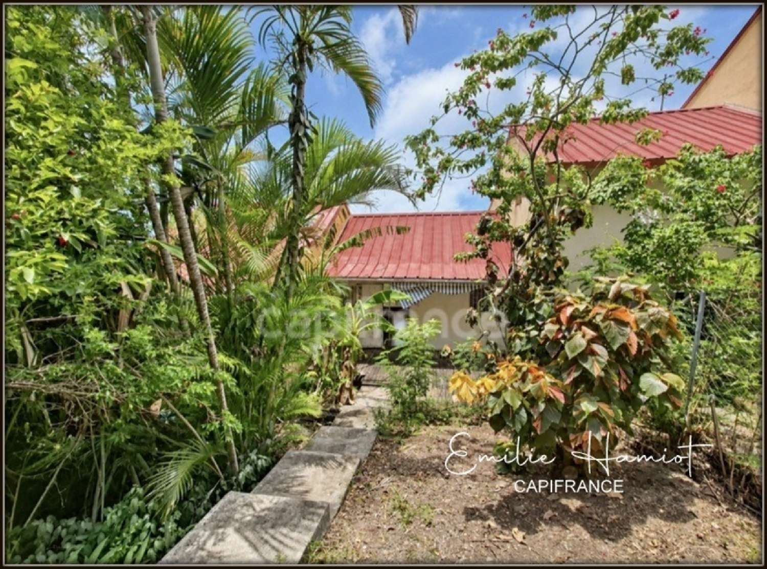 kaufen Haus Case-Pilote Martinique 2