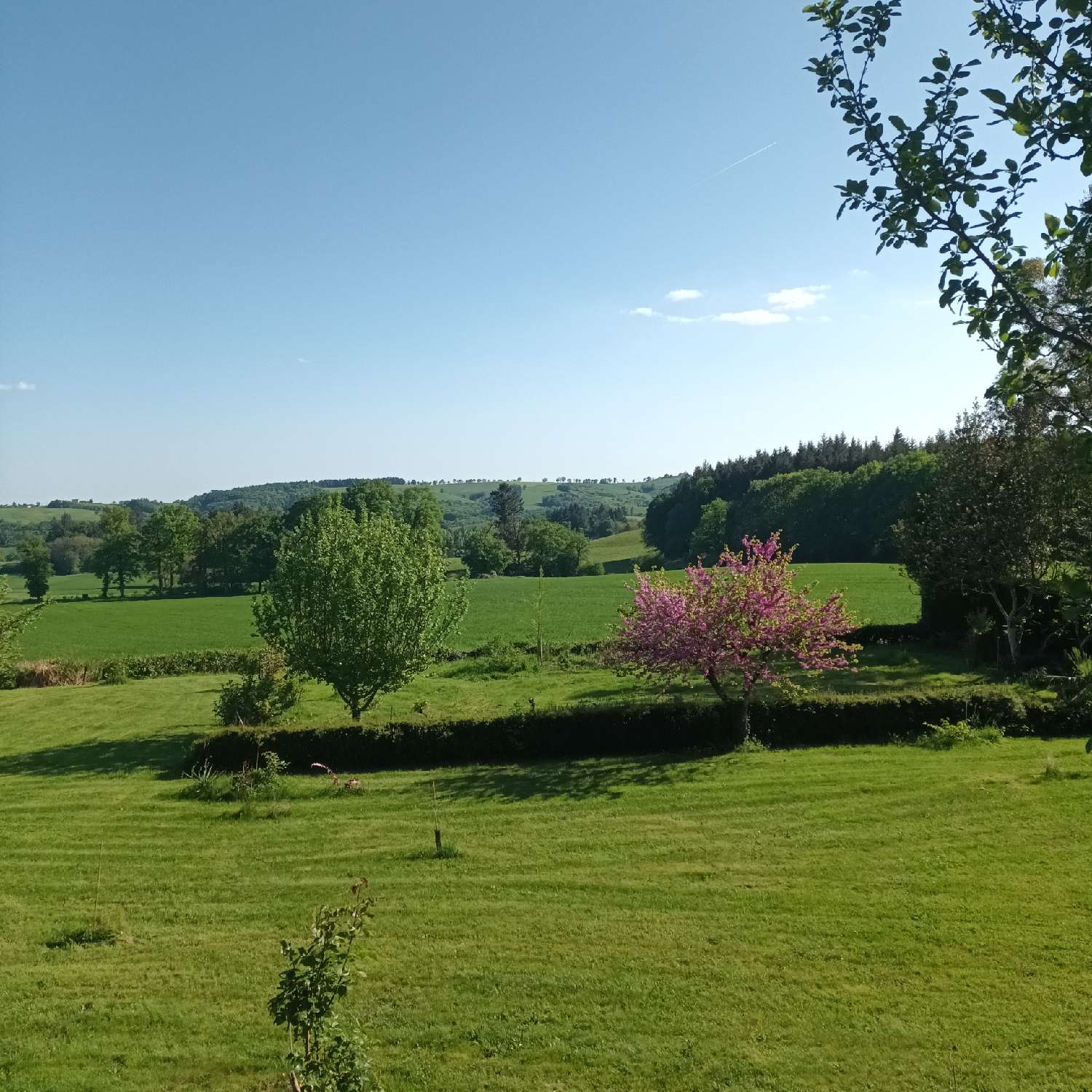 en venta casa Cassaniouze Cantal 3