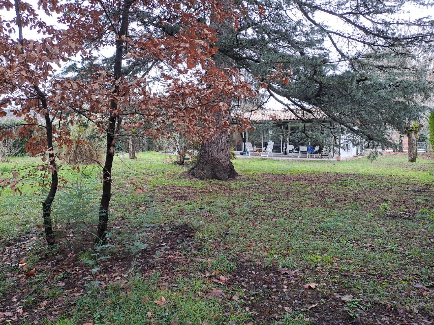 for sale house Castillon-la-Bataille Gironde 3