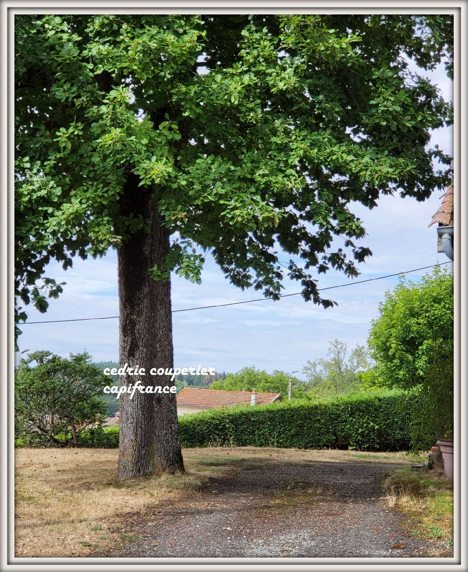 à vendre maison Celles-sur-Durolle Puy-de-Dôme 5