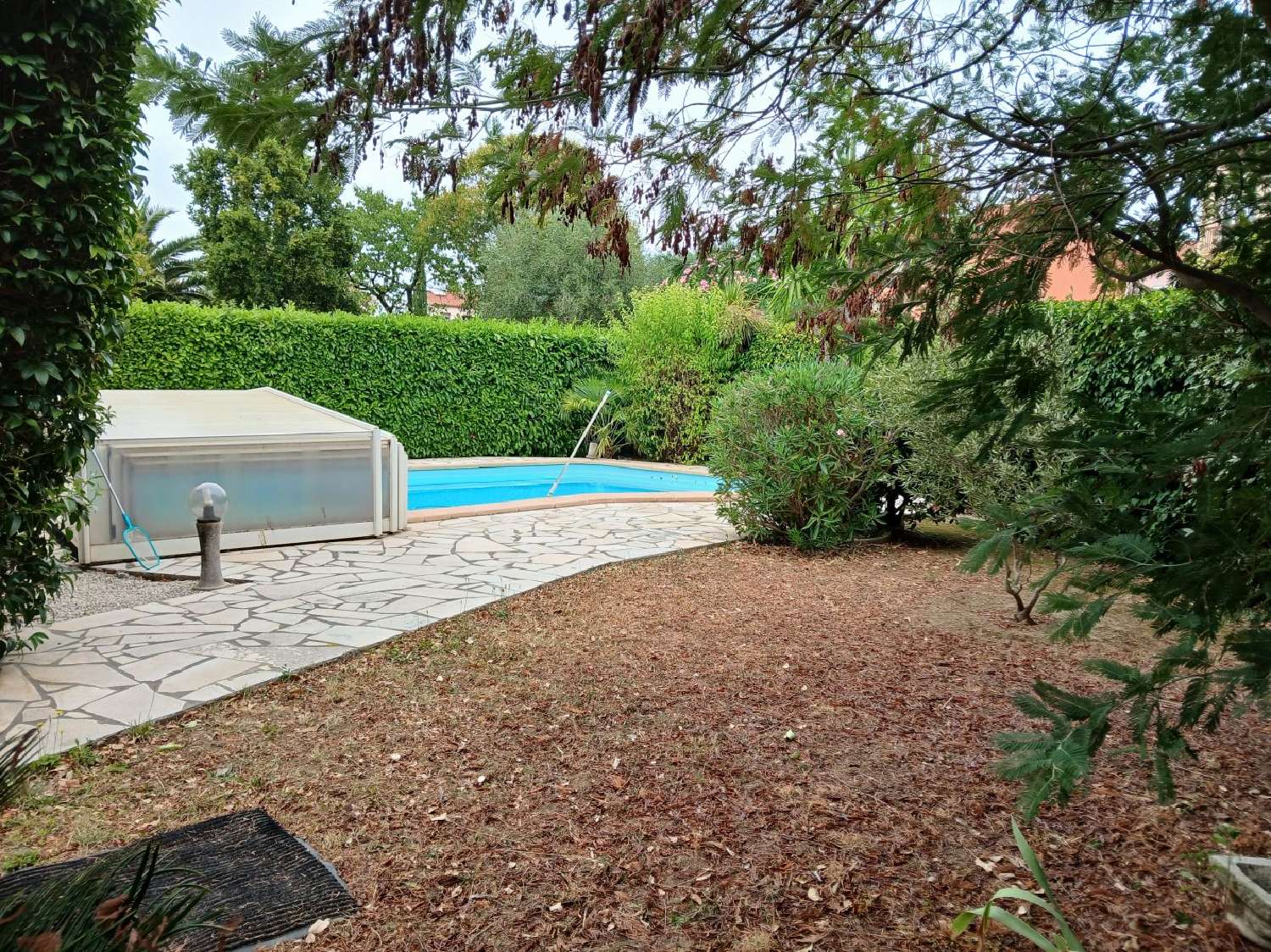kaufen Haus Céret Pyrénées-Orientales 3