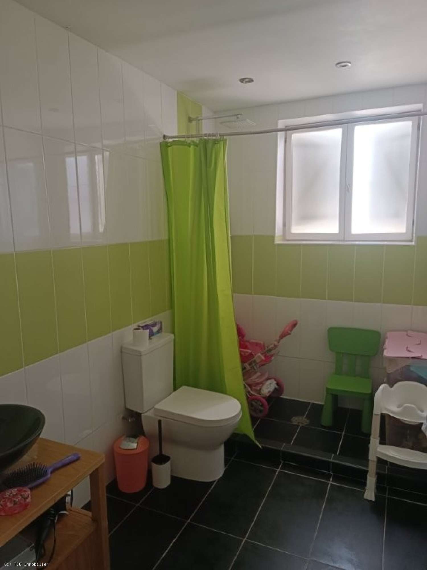for sale house Charroux Vienne 7