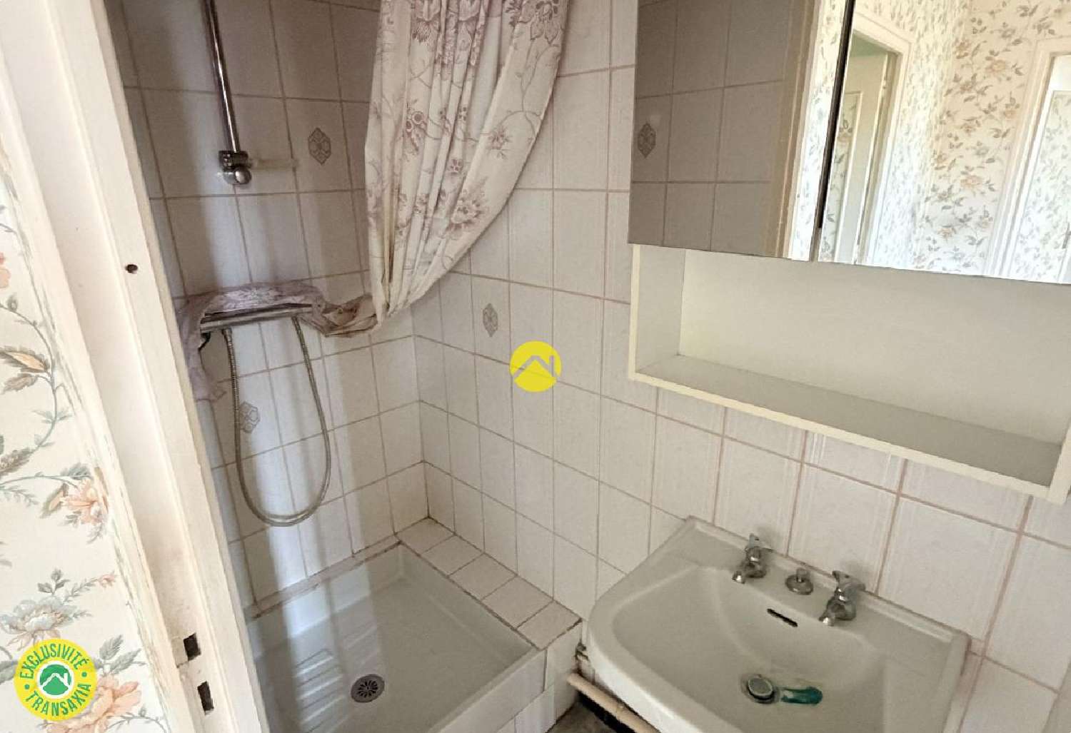 for sale house Châteauneuf-sur-Cher Cher 7