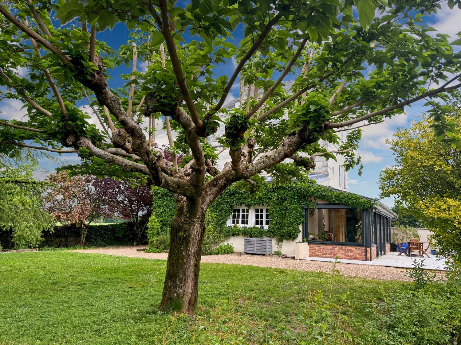kaufen Haus Châtellerault Vienne 3