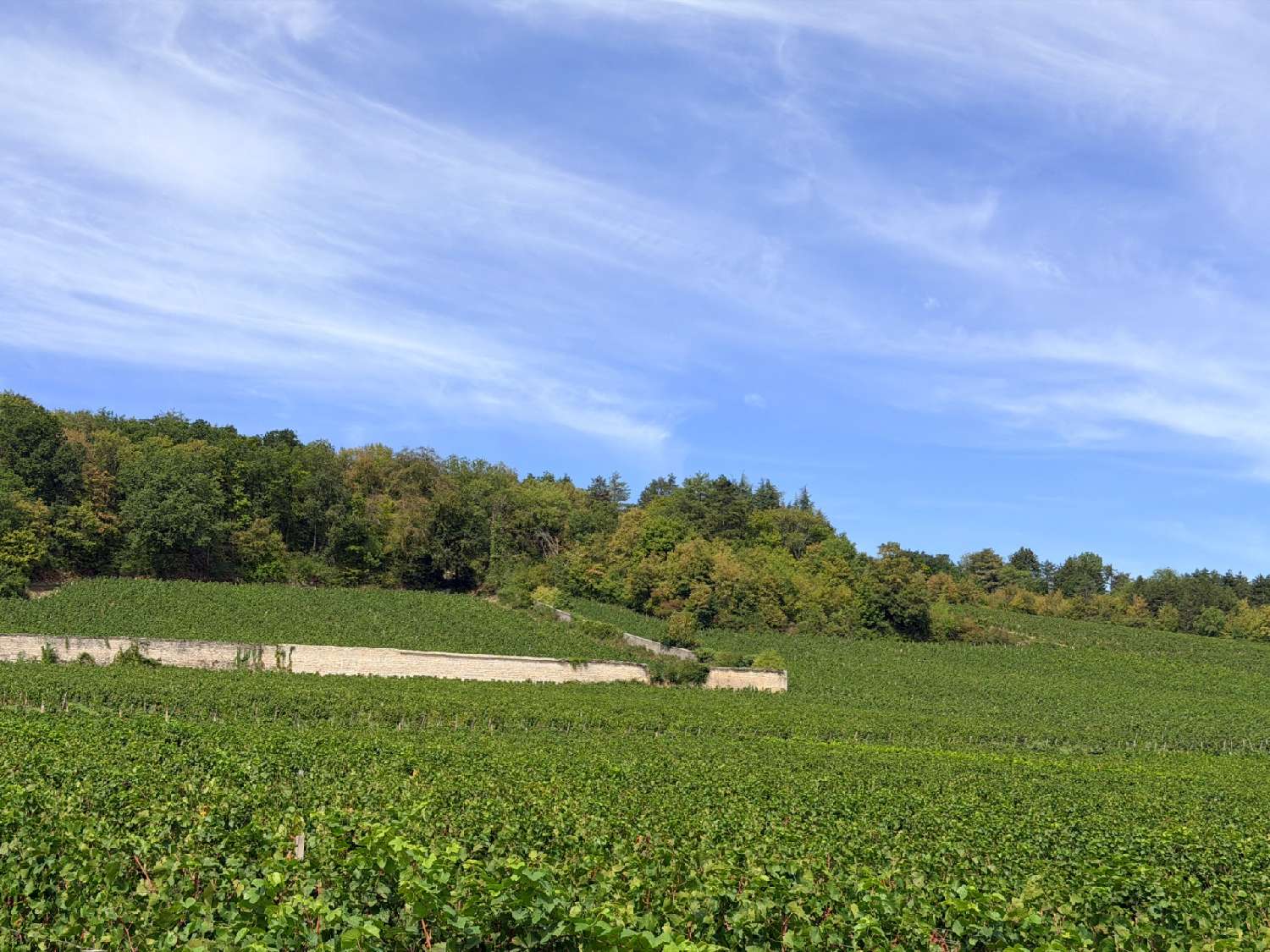 à vendre maison Chenôve Côte-d'Or 2