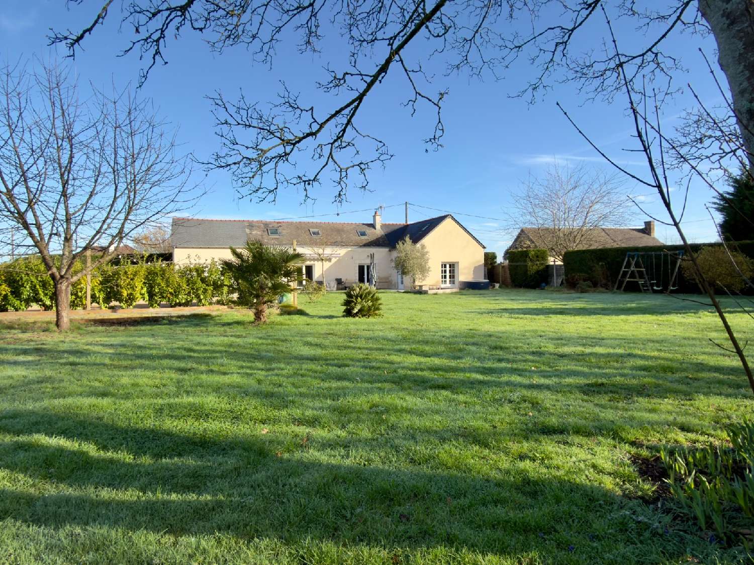 kaufen Haus Chouzé-sur-Loire Indre-et-Loire 1