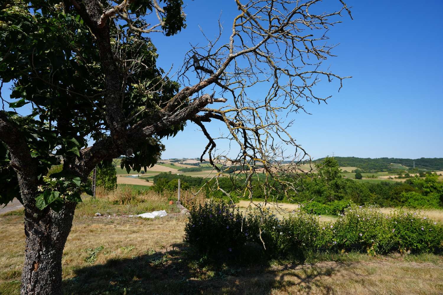en venta casa Clairac Lot-et-Garonne 4