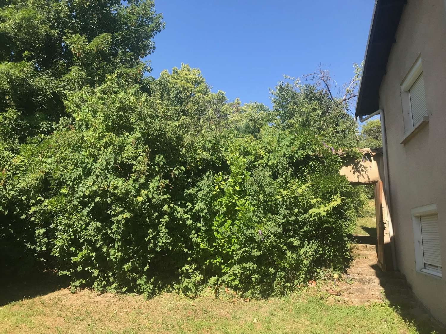  en venta casa Collonges-au-Mont-d'Or Rhône 2