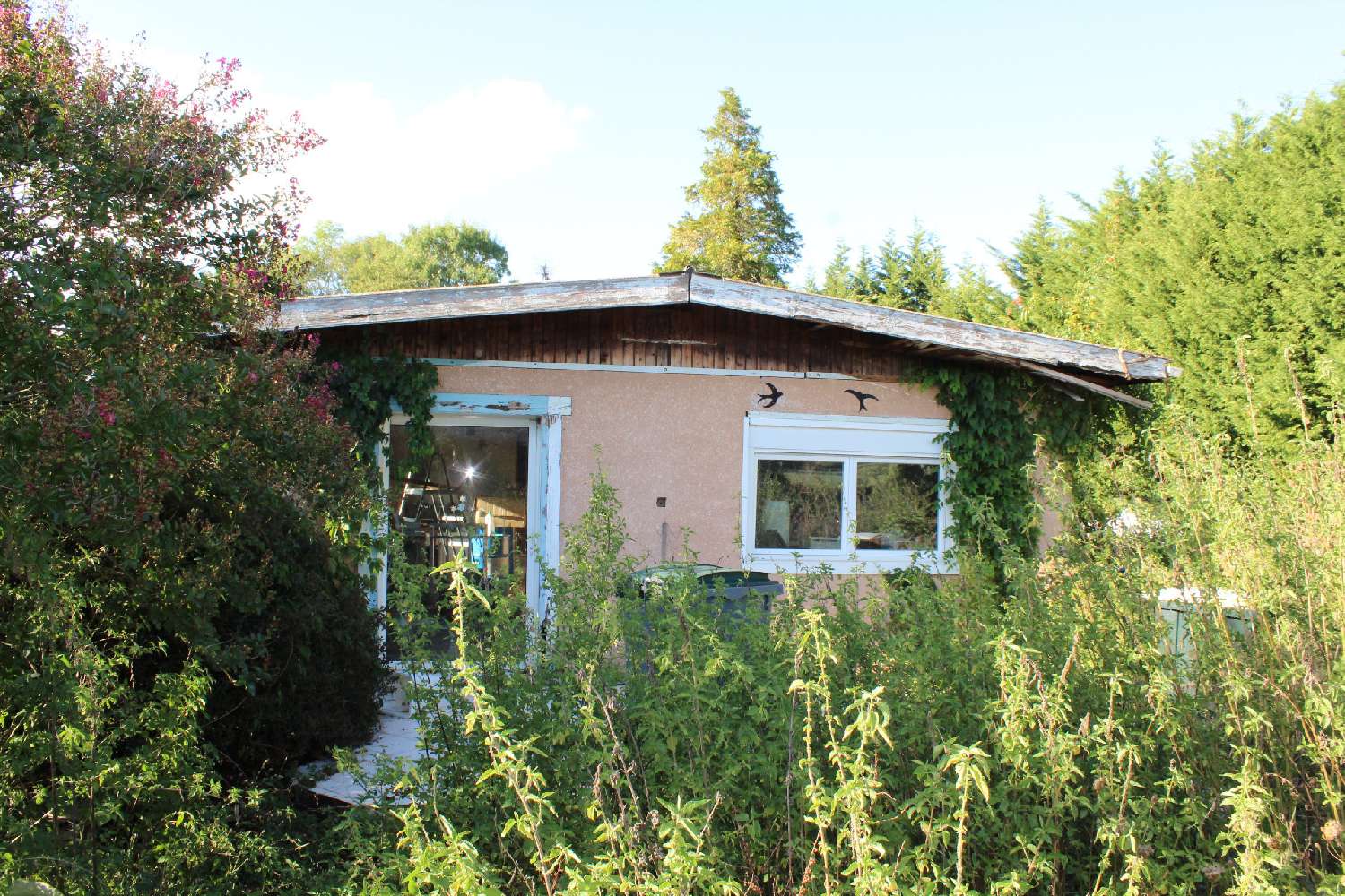 for sale house Condeissiat Ain 2