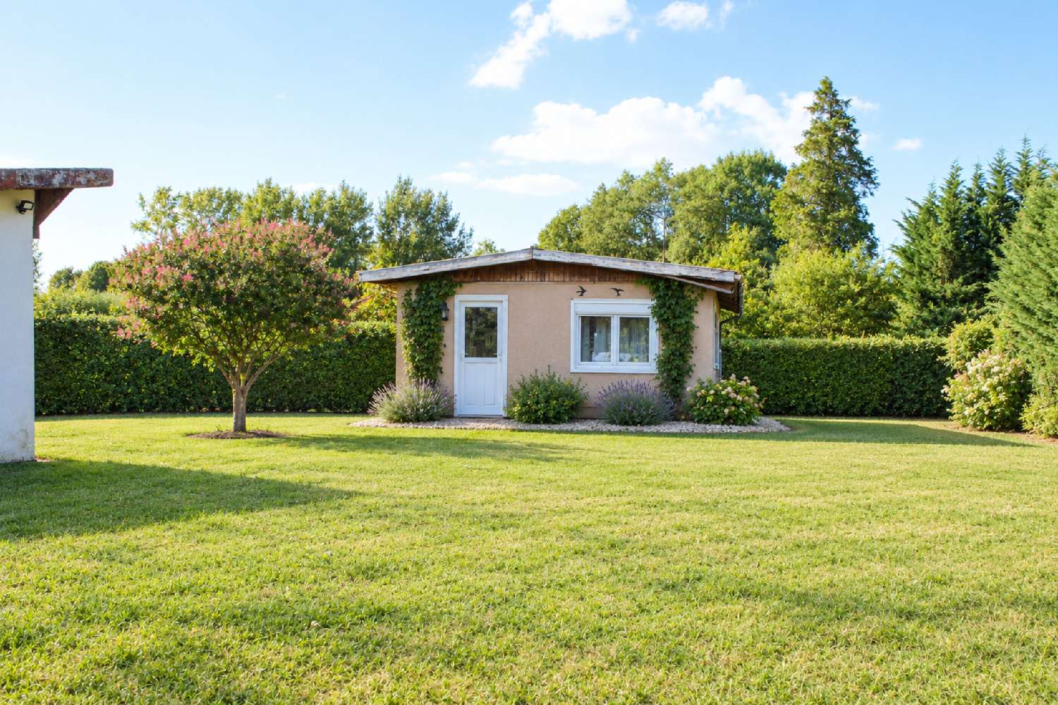 for sale house Condeissiat Ain 3