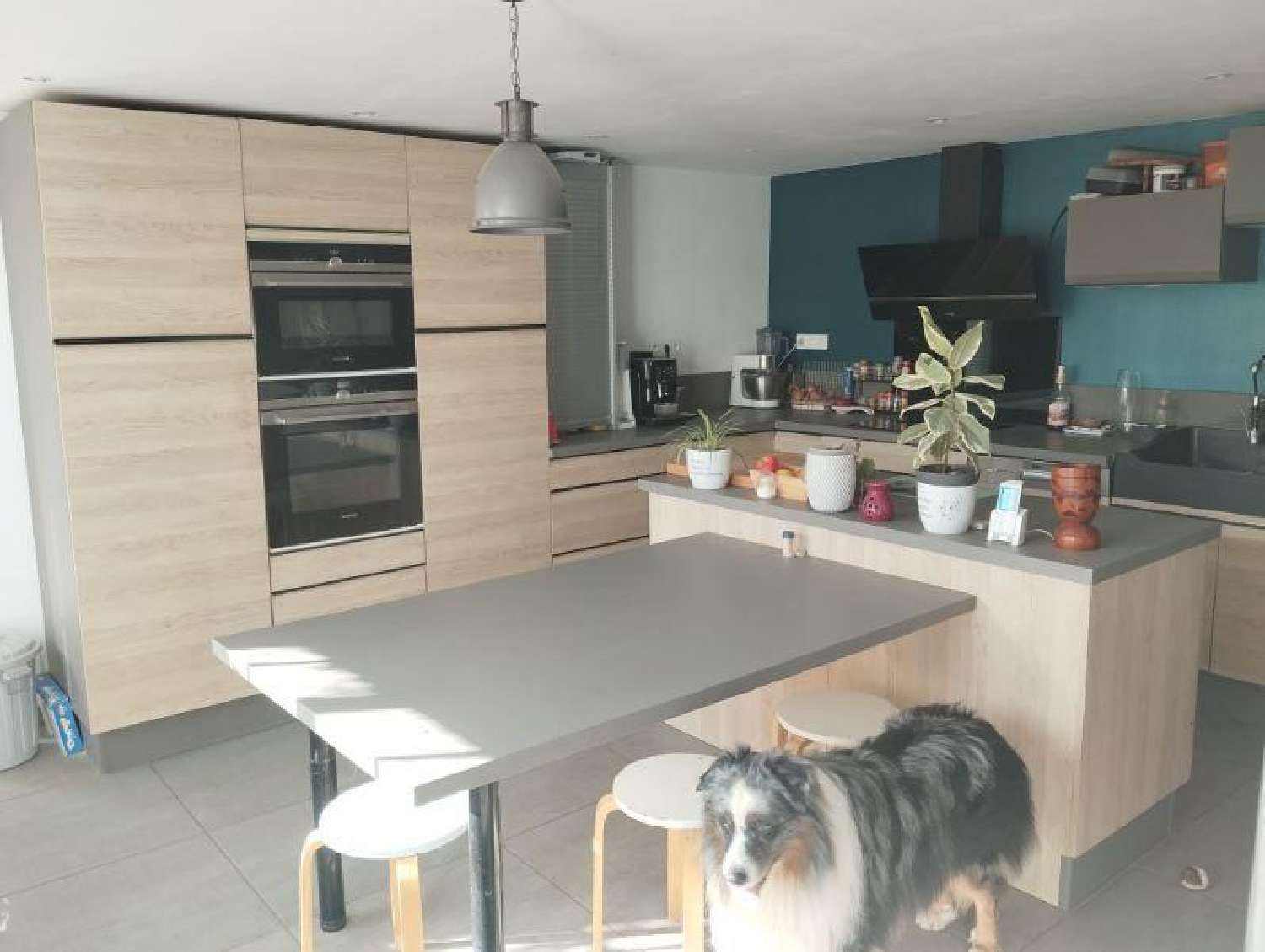 for sale house Coulonges-sur-l'Autize Deux-Sèvres 4
