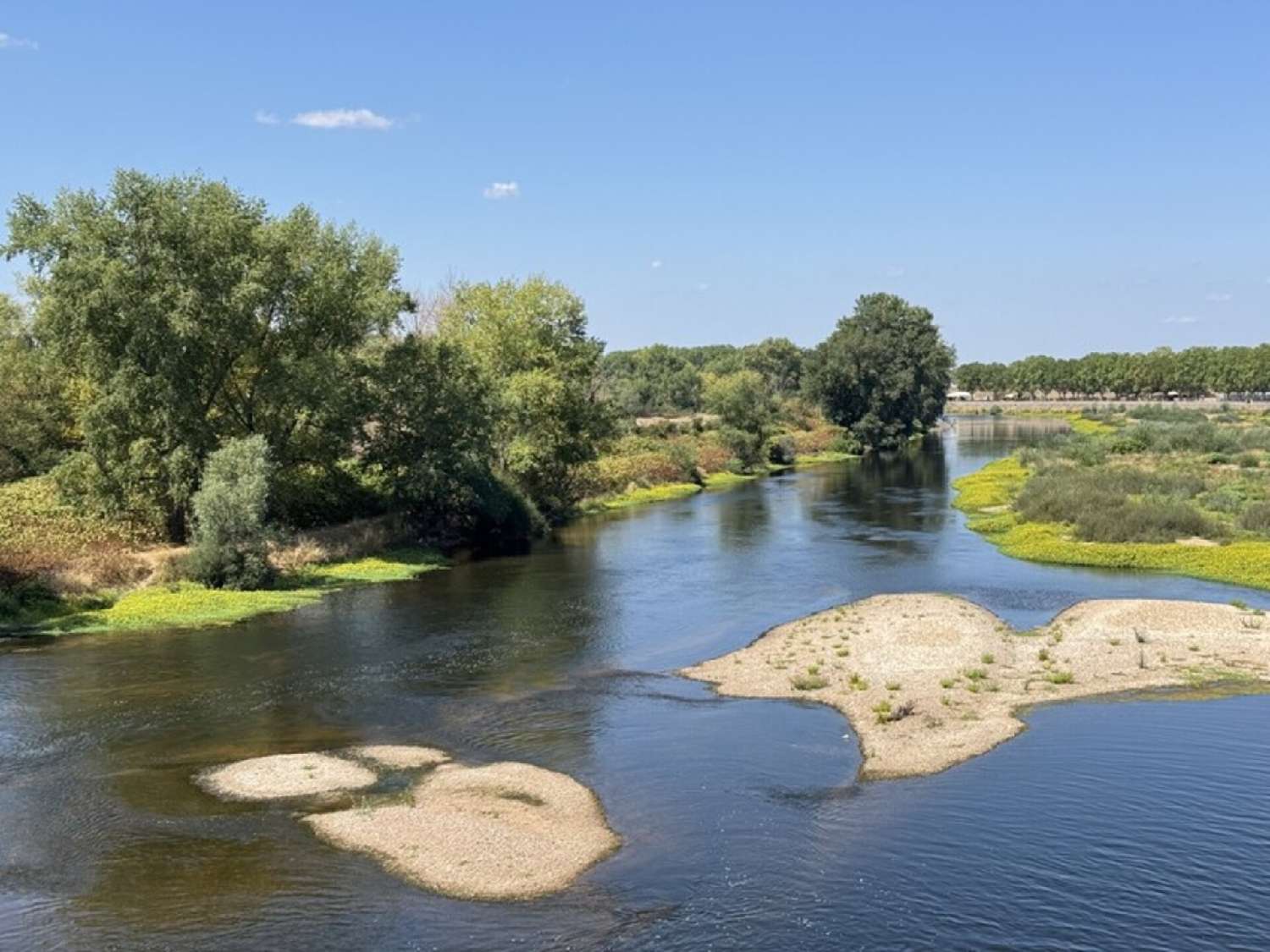en venta casa Digoin Saône-et-Loire 4