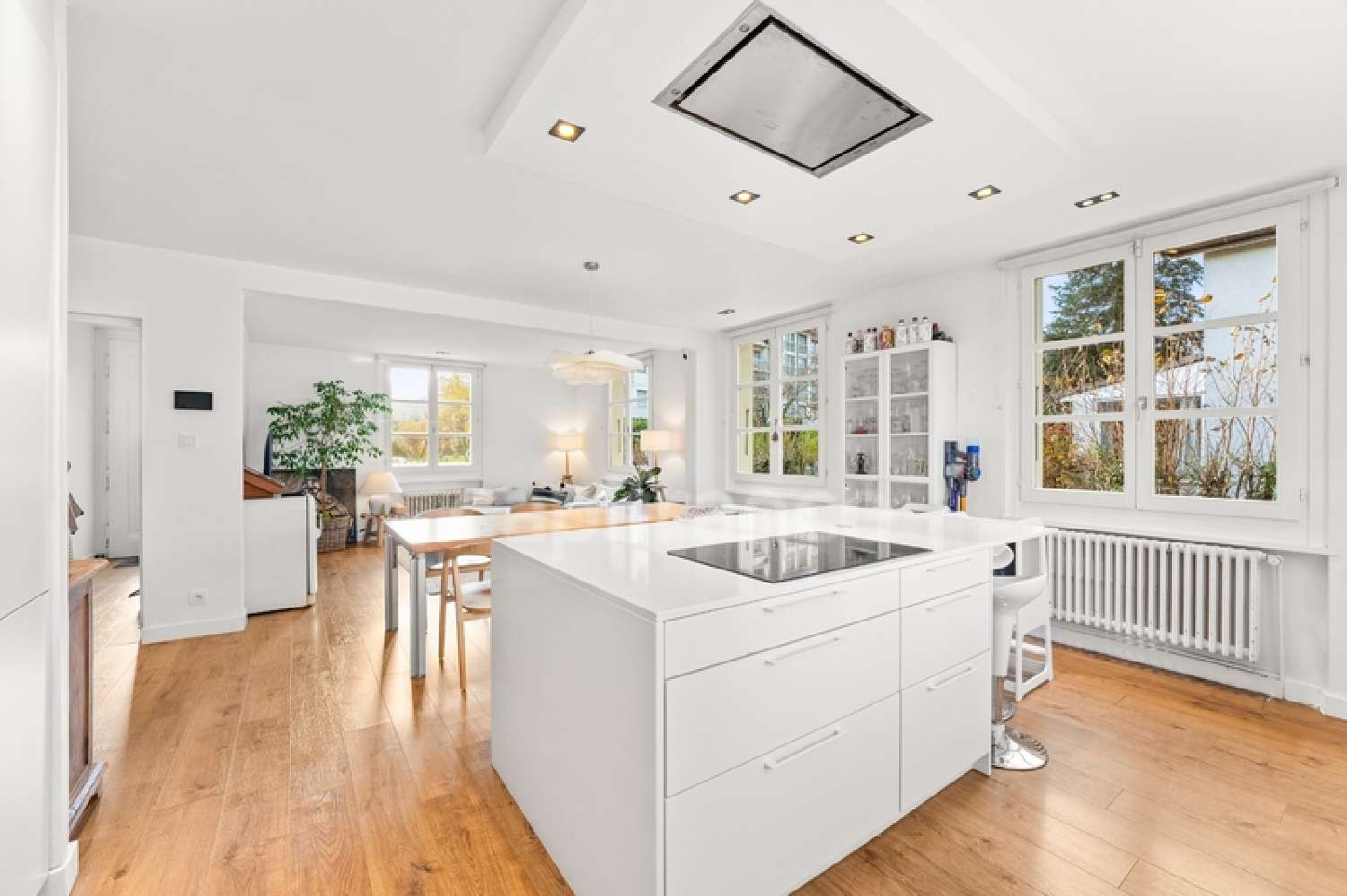  à vendre maison Divonne-les-Bains Ain 3