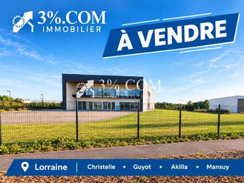 Dombasle-sur-Meurthe Meurthe-et-Moselle huis foto 7412809