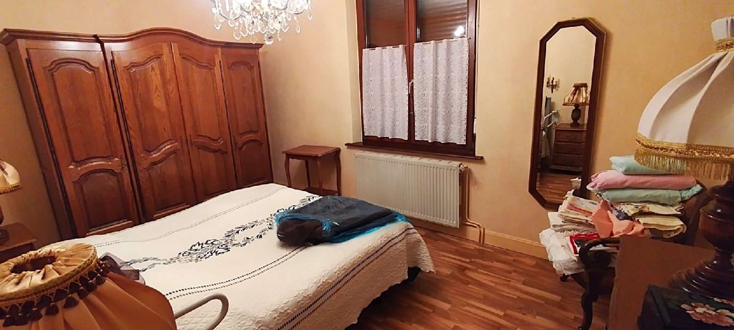 à vendre maison Dombasle-sur-Meurthe Meurthe-et-Moselle 6