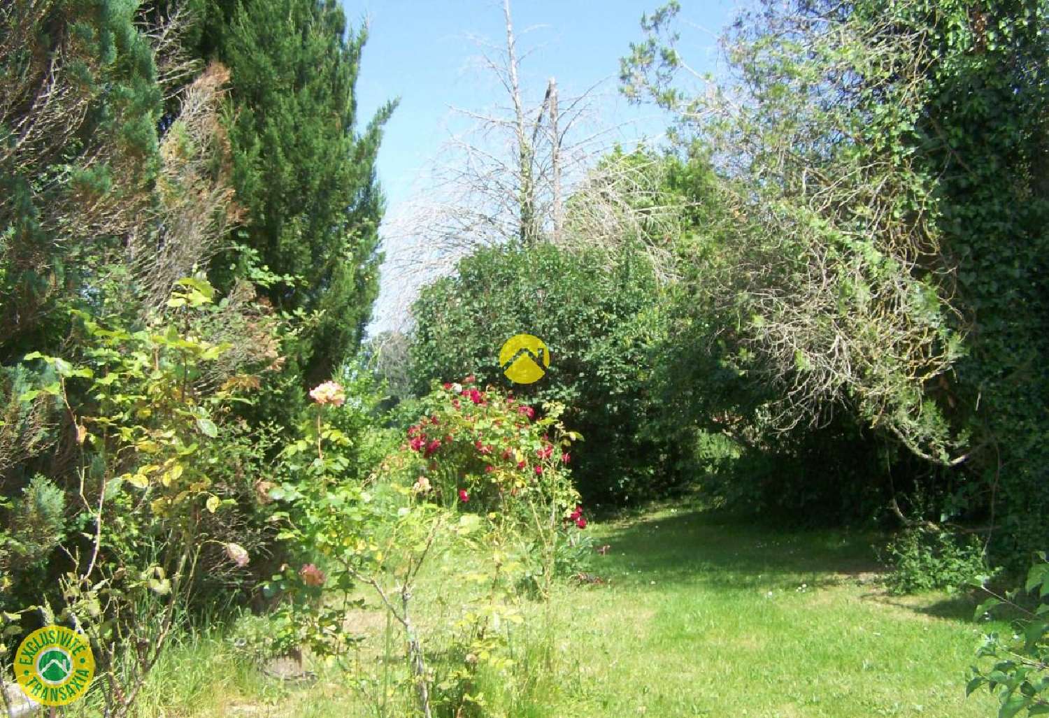 en venta casa Dun-le-Palestel Creuse 4
