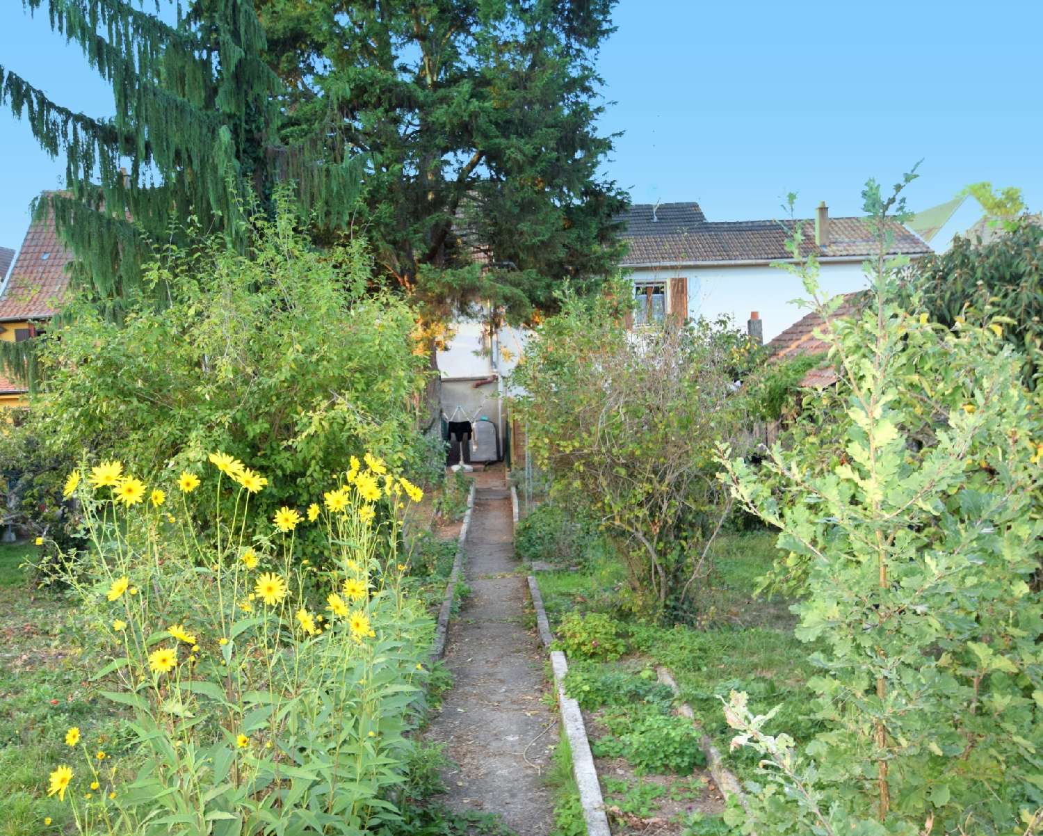 for sale house Ensisheim Haut-Rhin 1