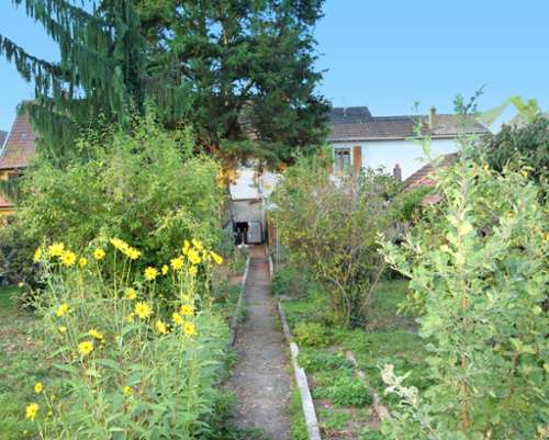 Ensisheim Haut-Rhin house foto 7411215