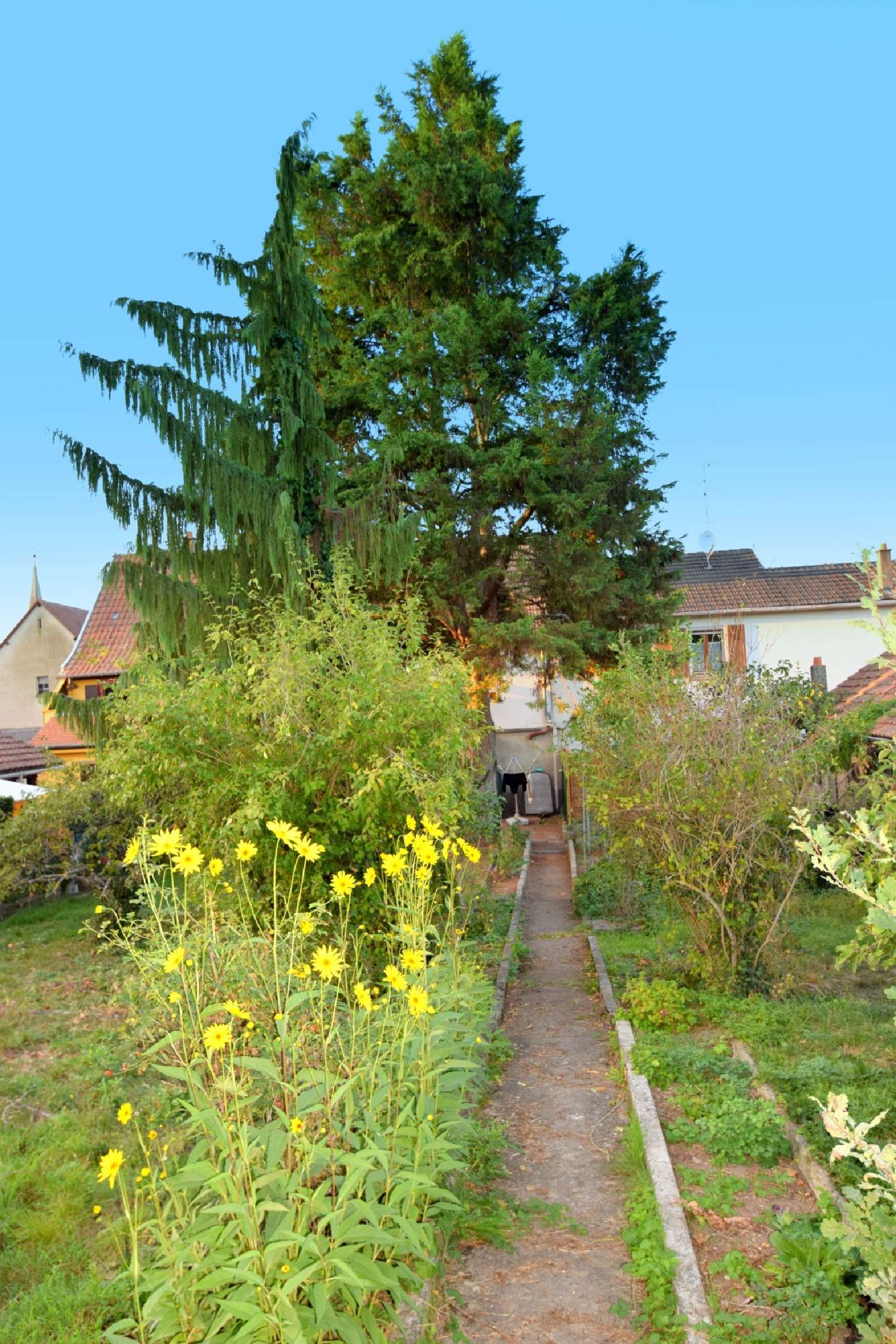 for sale house Ensisheim Haut-Rhin 2