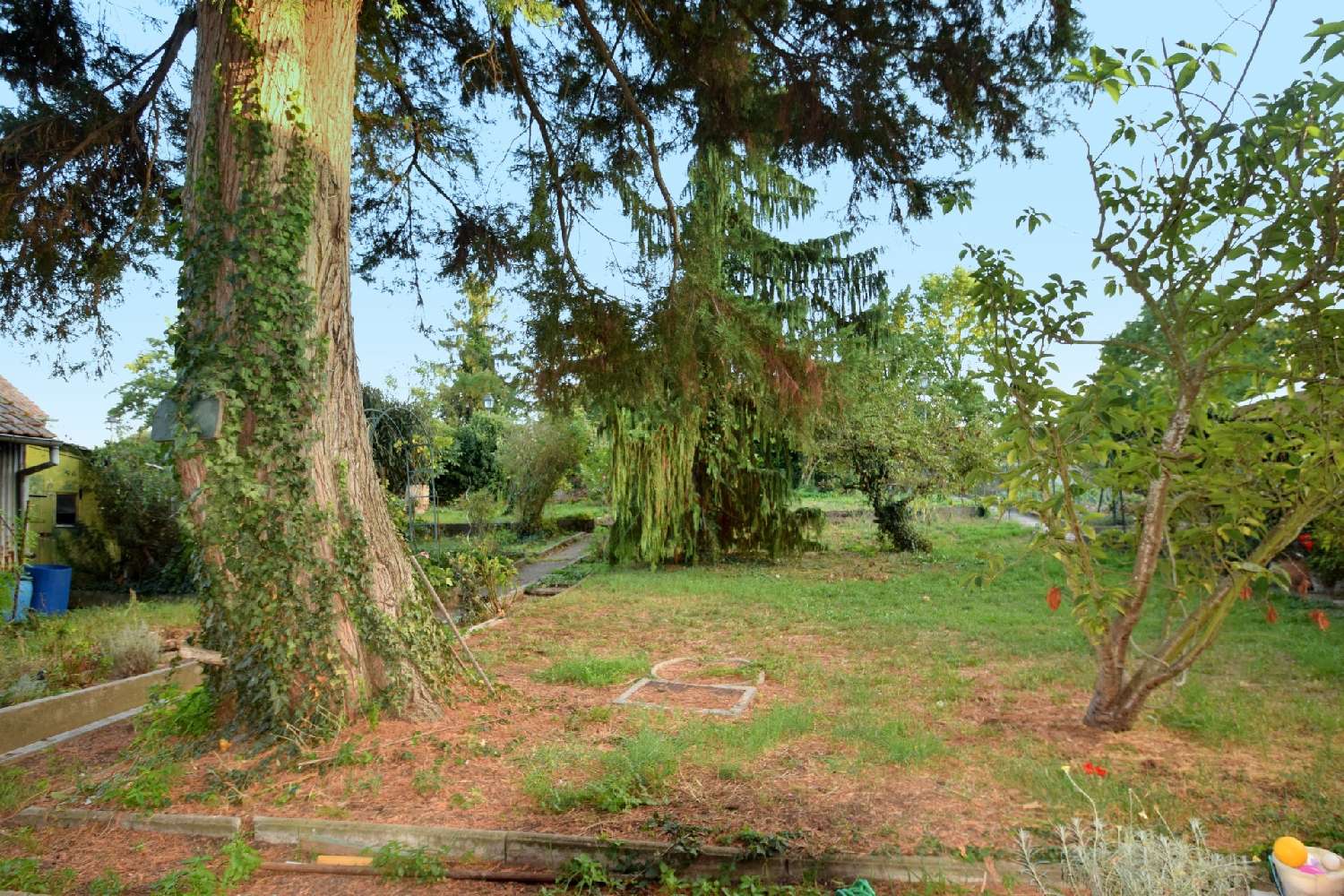for sale house Ensisheim Haut-Rhin 4