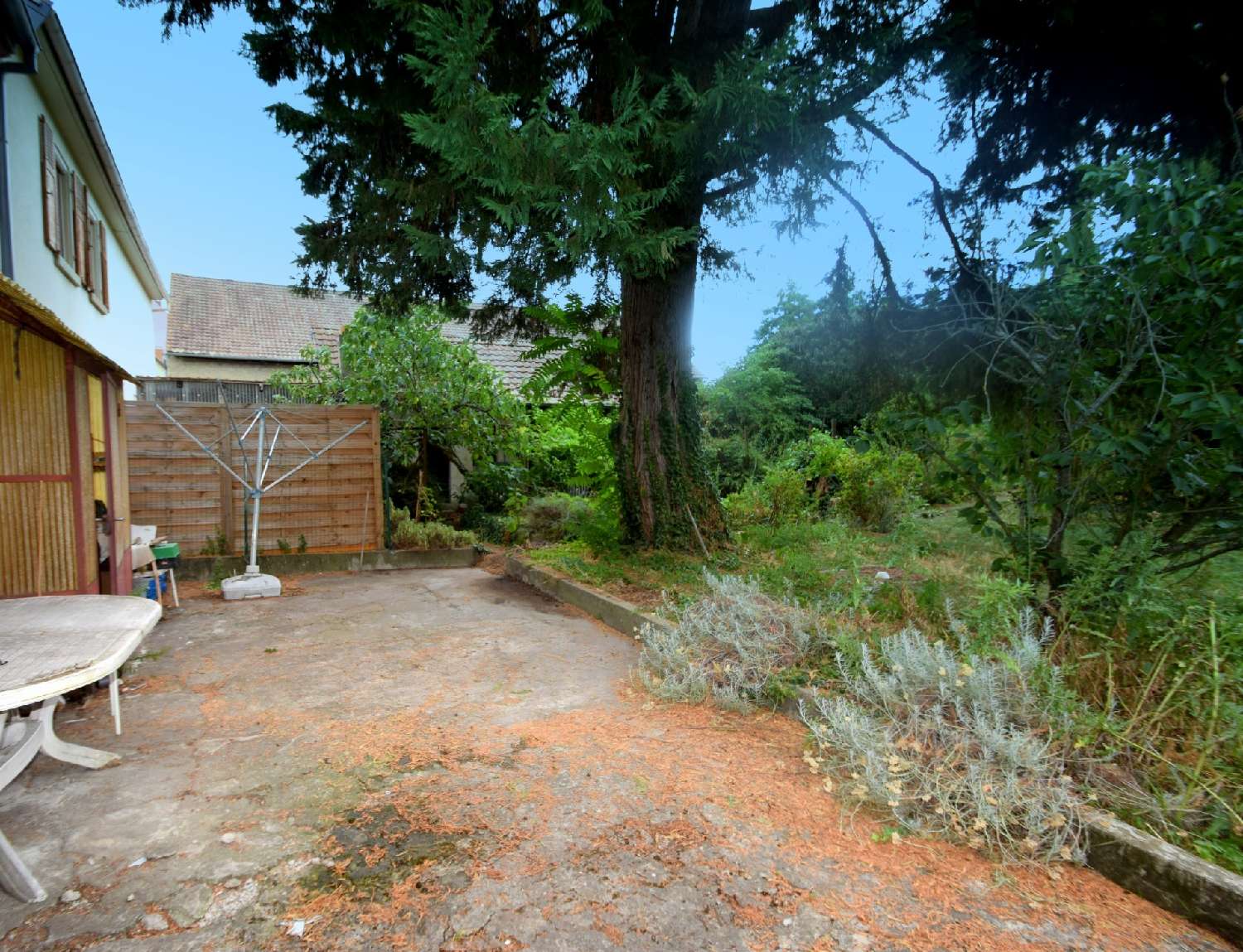 for sale house Ensisheim Haut-Rhin 6