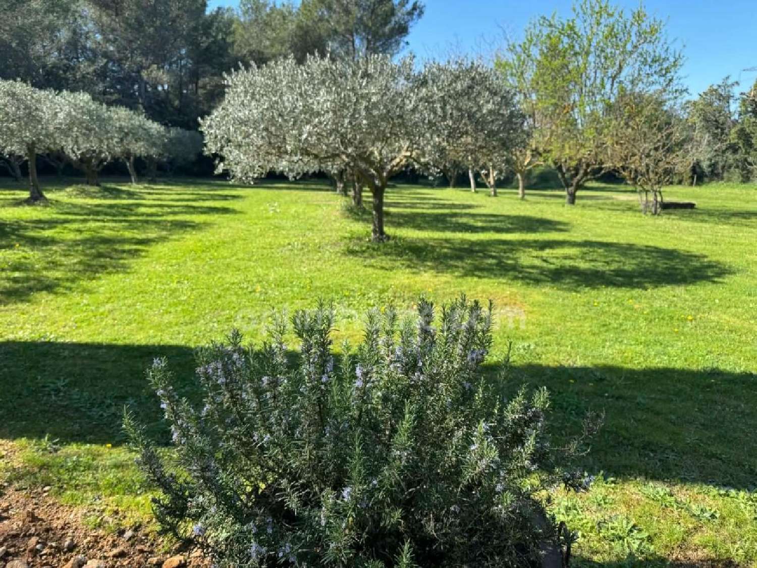  en venta casa Eygalières Bocas del Ródano 3