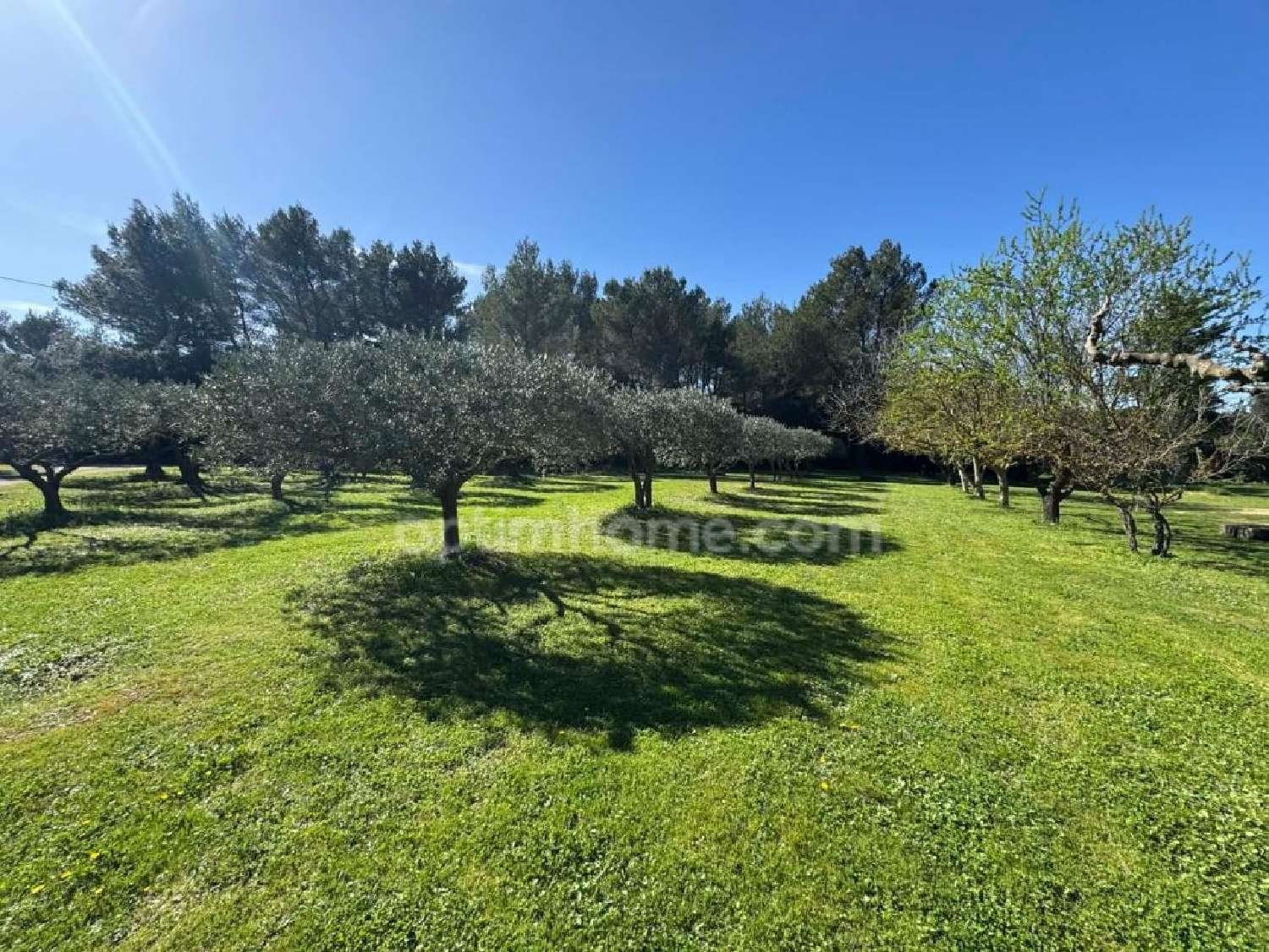  en venta casa Eygalières Bocas del Ródano 4