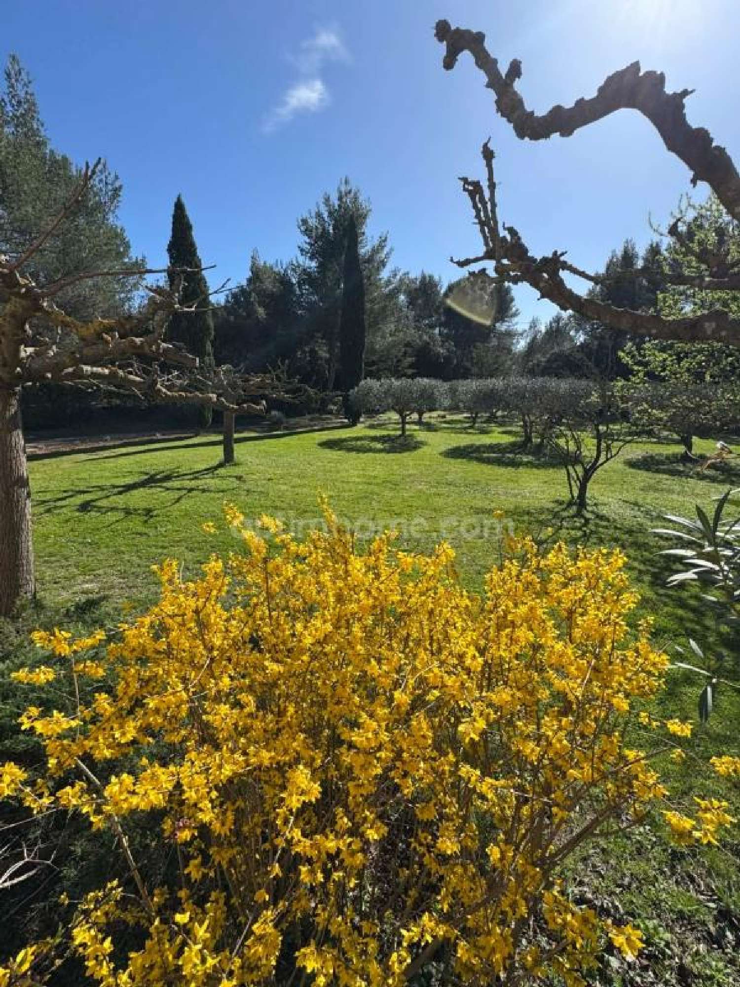  en venta casa Eygalières Bocas del Ródano 8