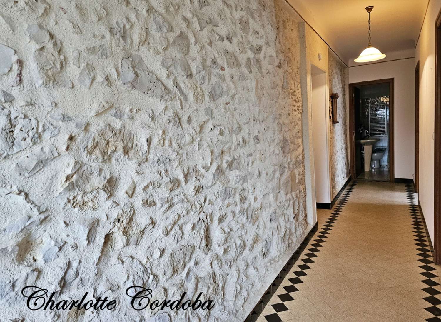  à vendre maison Feugarolles Lot-et-Garonne 8