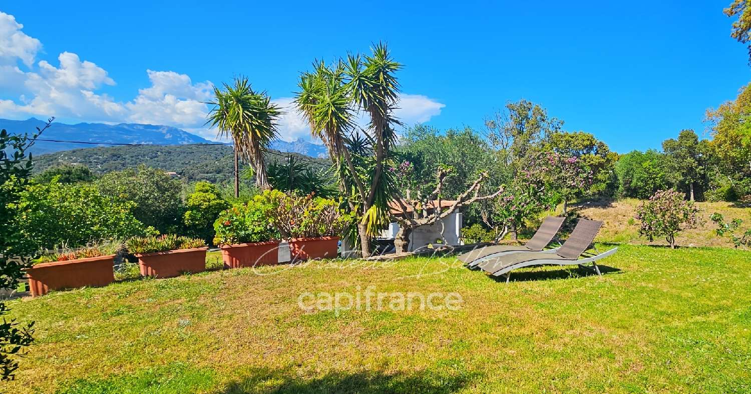 kaufen Haus Figari Corse-du-Sud 3