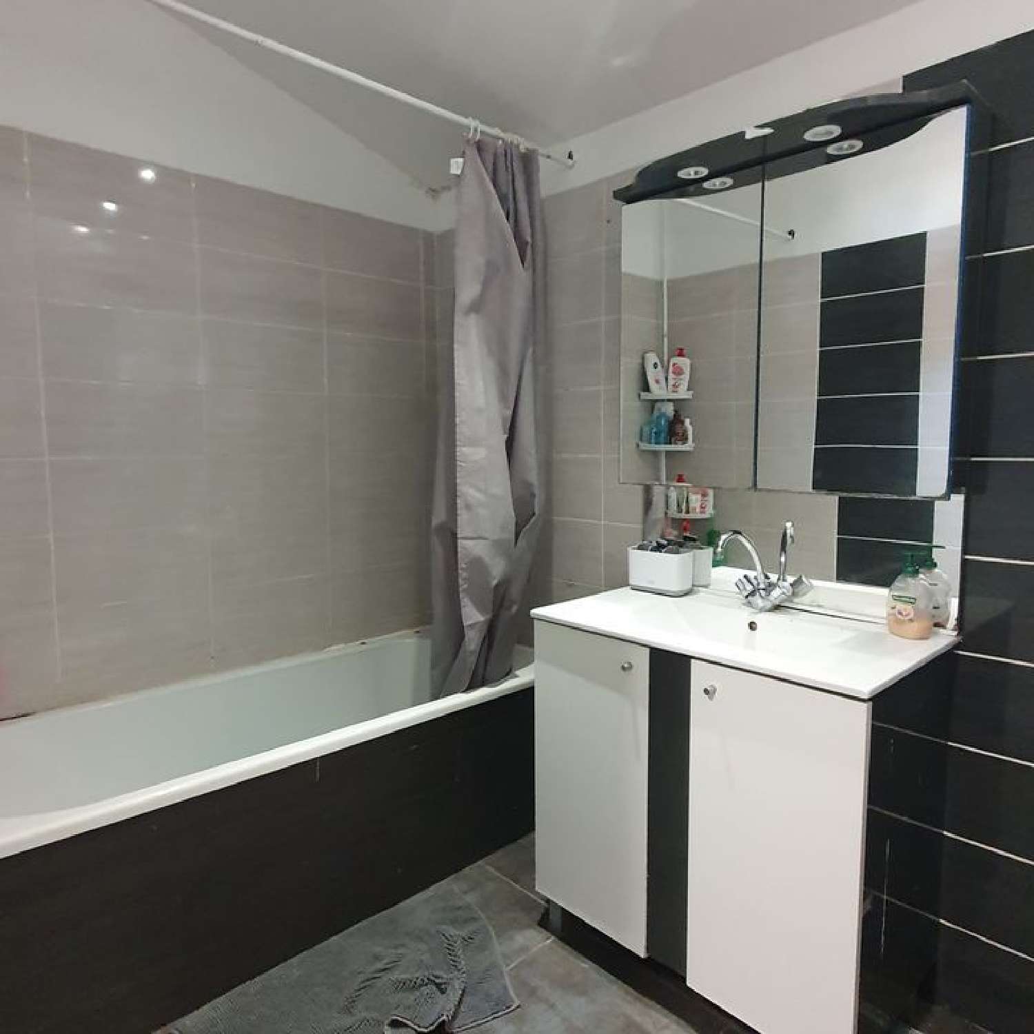 à vendre maison Fleury-les-Aubrais Loiret 1