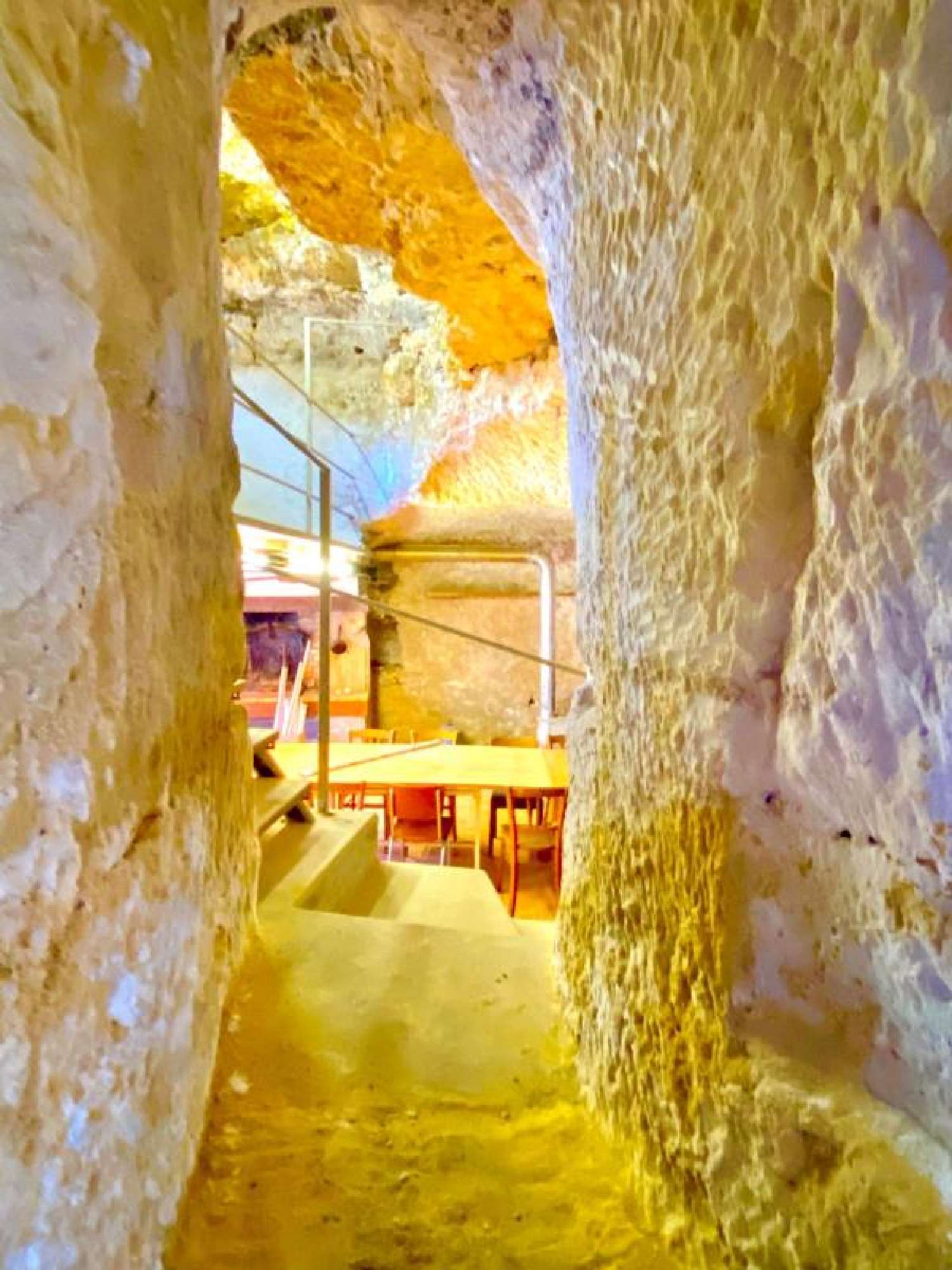 te koop huis Fondettes Indre-et-Loire 5