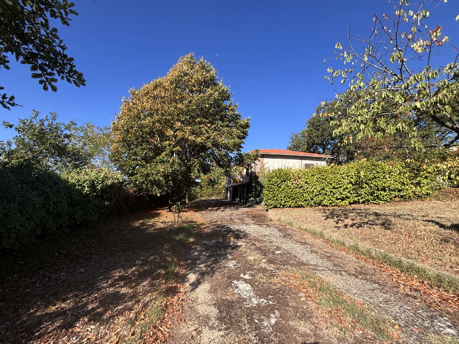  à vendre maison Giroussens Tarn 2