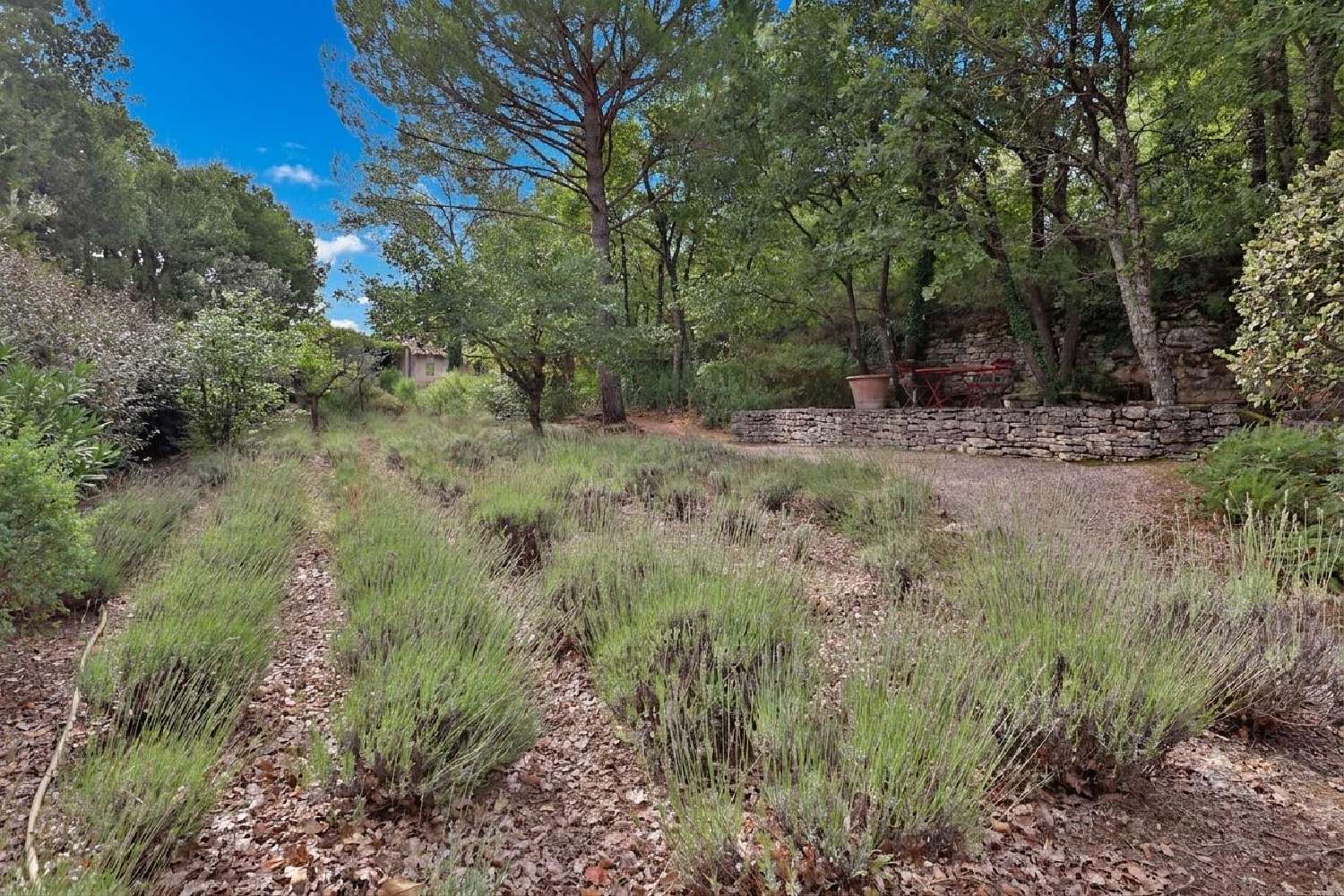  à vendre maison Goult Vaucluse 6