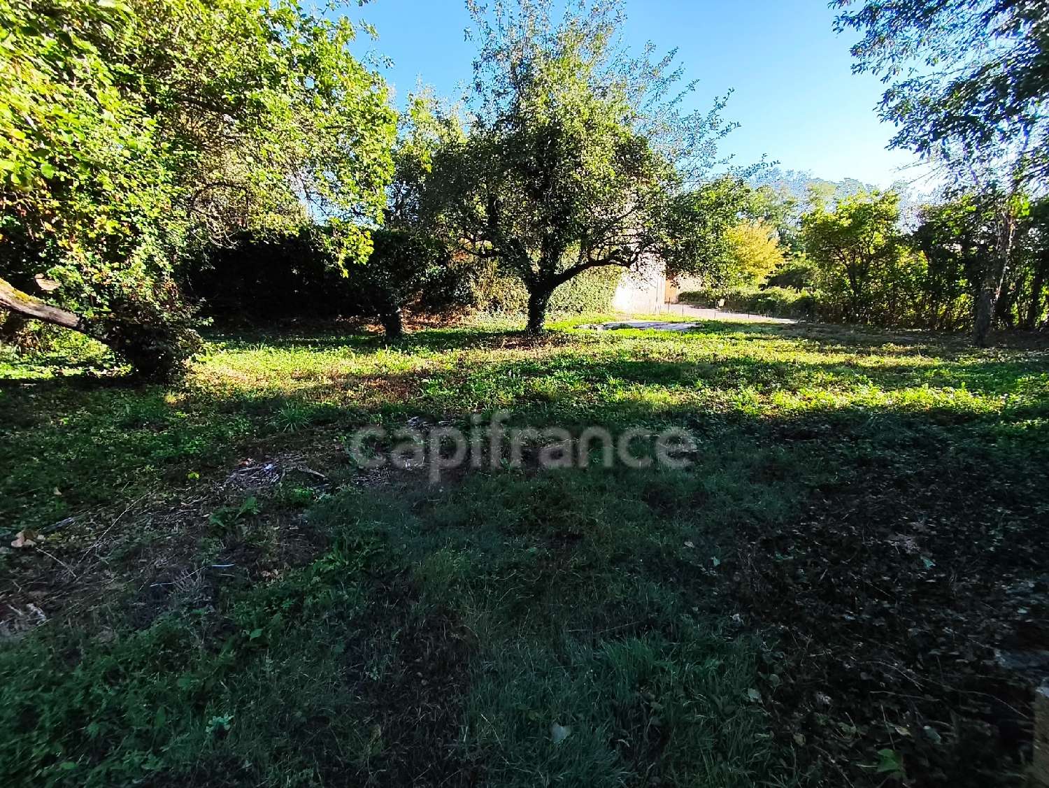 en venta casa Grandvaux Saône-et-Loire 5
