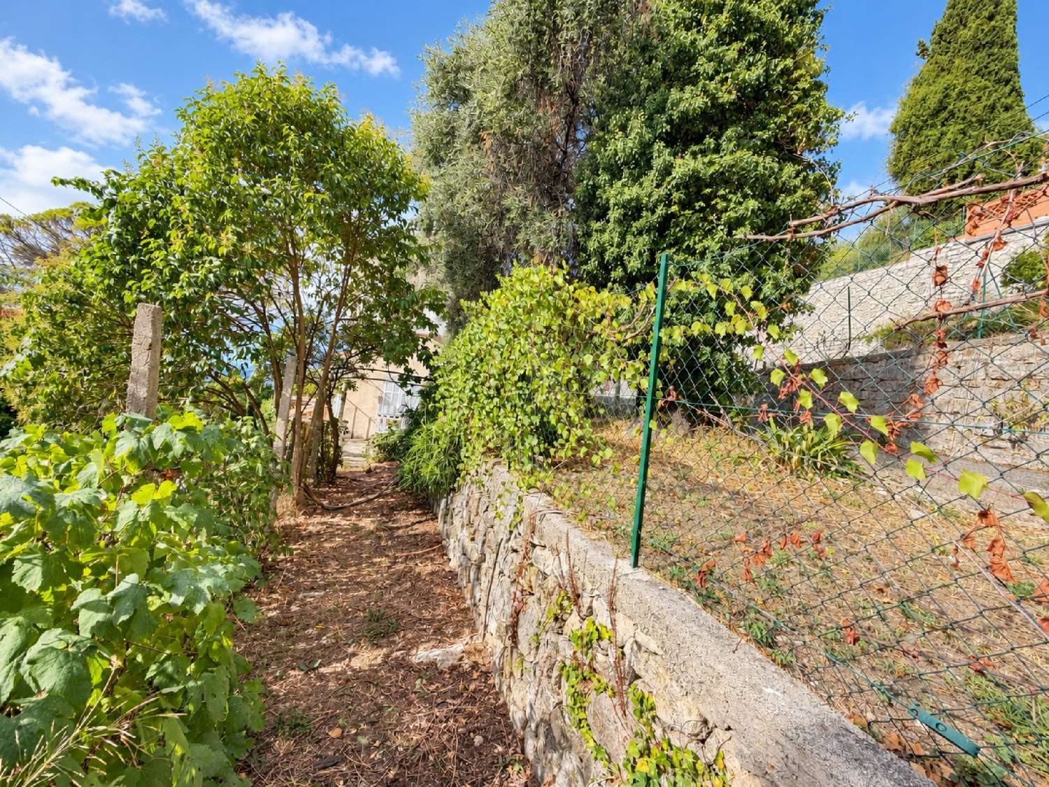 à vendre maison Grasse Alpes-Maritimes 2