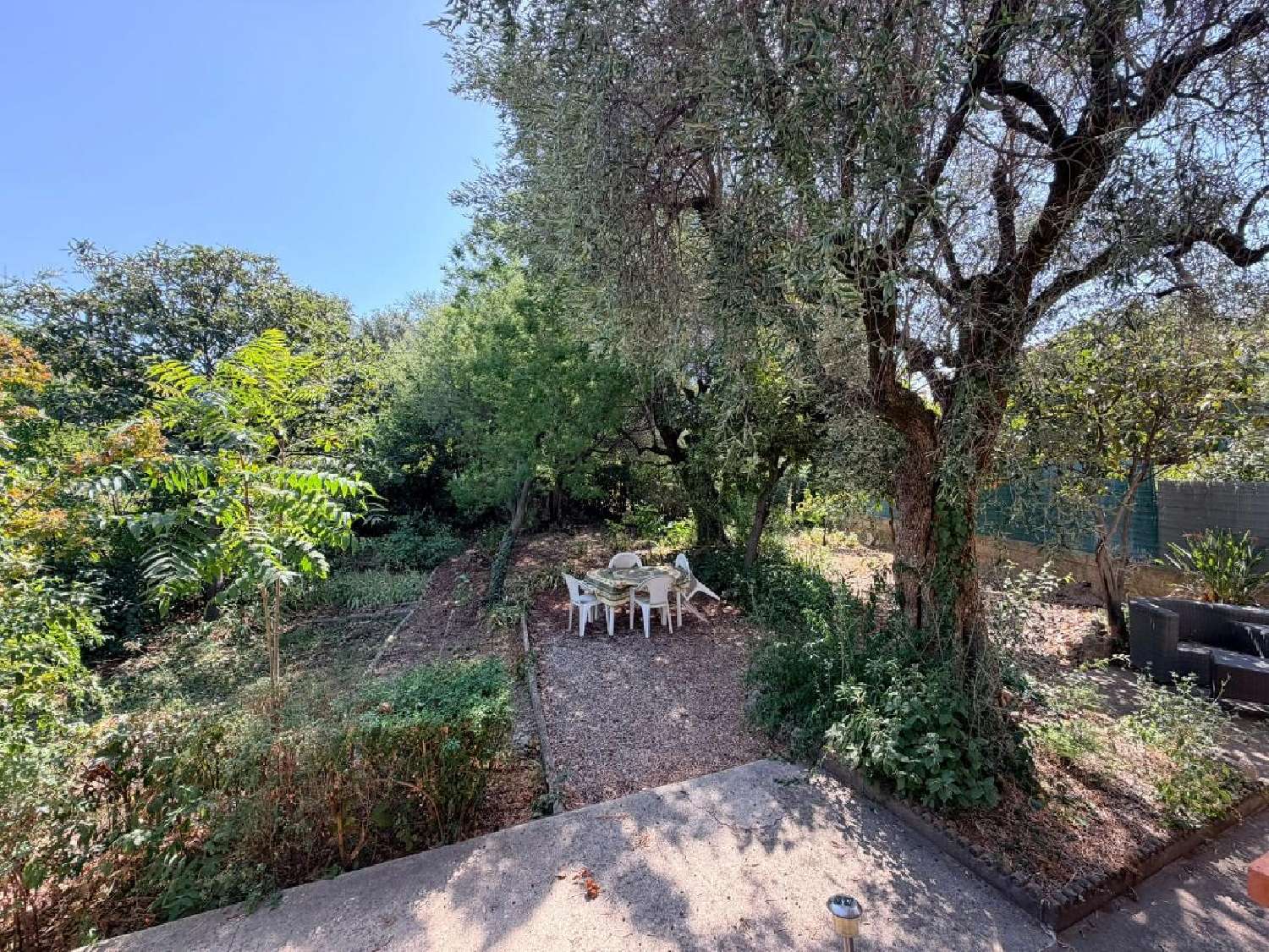 for sale house Grasse Alpes-Maritimes 3