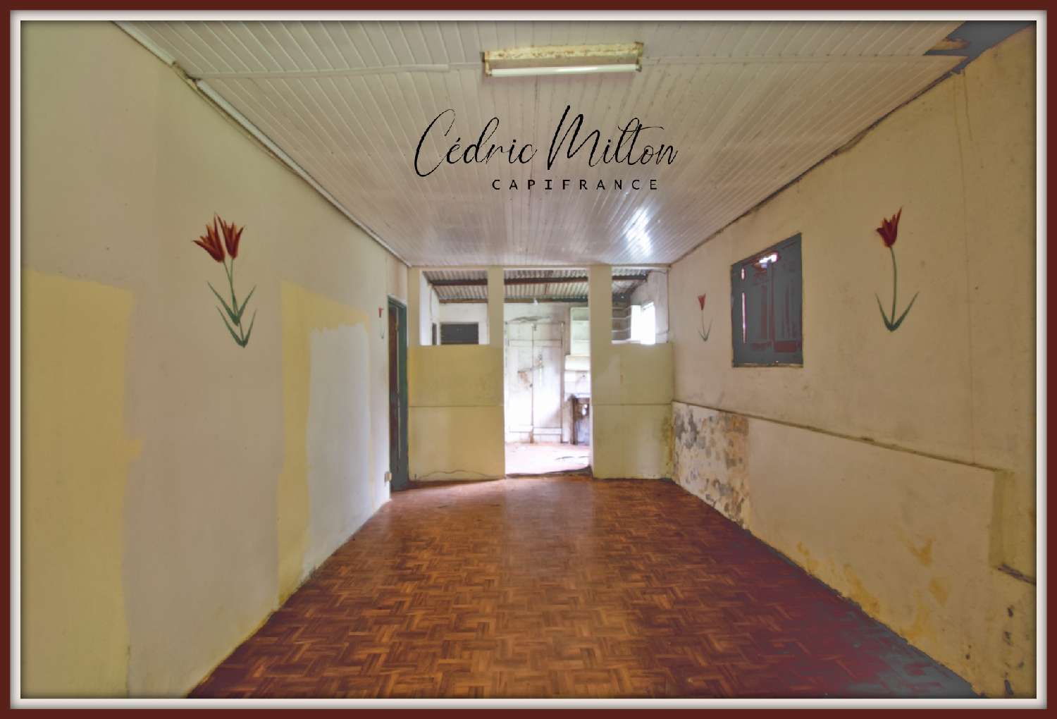 à vendre maison Gros-Morne Martinique 4