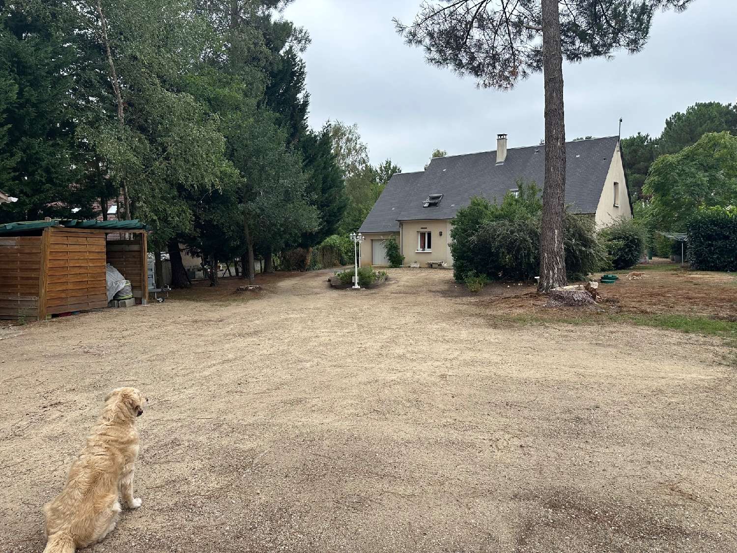  à vendre maison Guécélard Sarthe 5