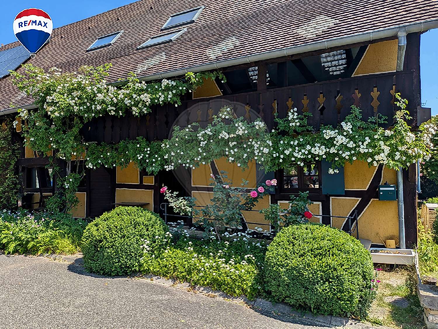 kaufen Haus Hagenthal-le-Haut Haut-Rhin 2