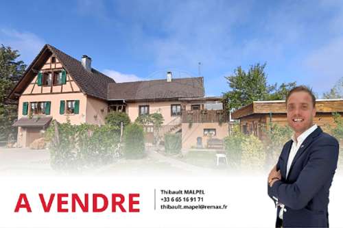 Hagenthal-le-Bas Haut-Rhin maison foto 7409660