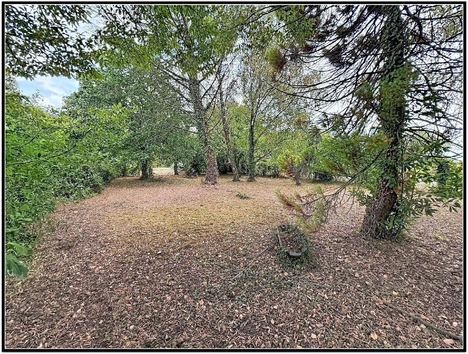 te koop huis La Foye-Monjault Deux-Sèvres 7