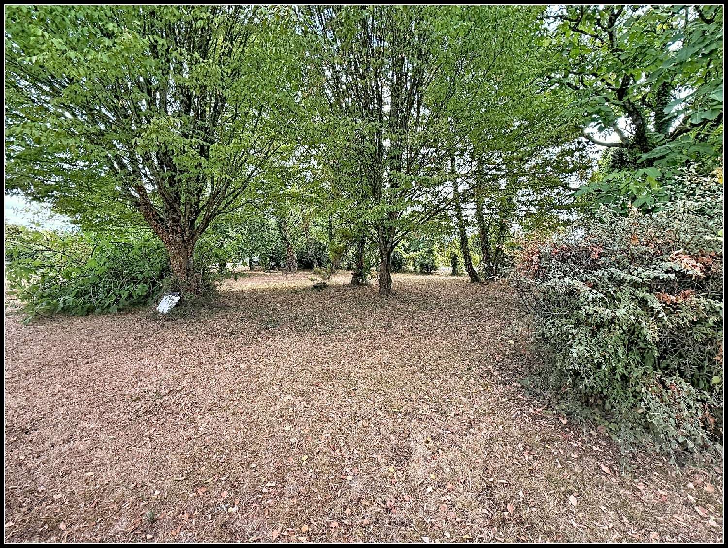 te koop huis La Foye-Monjault Deux-Sèvres 8