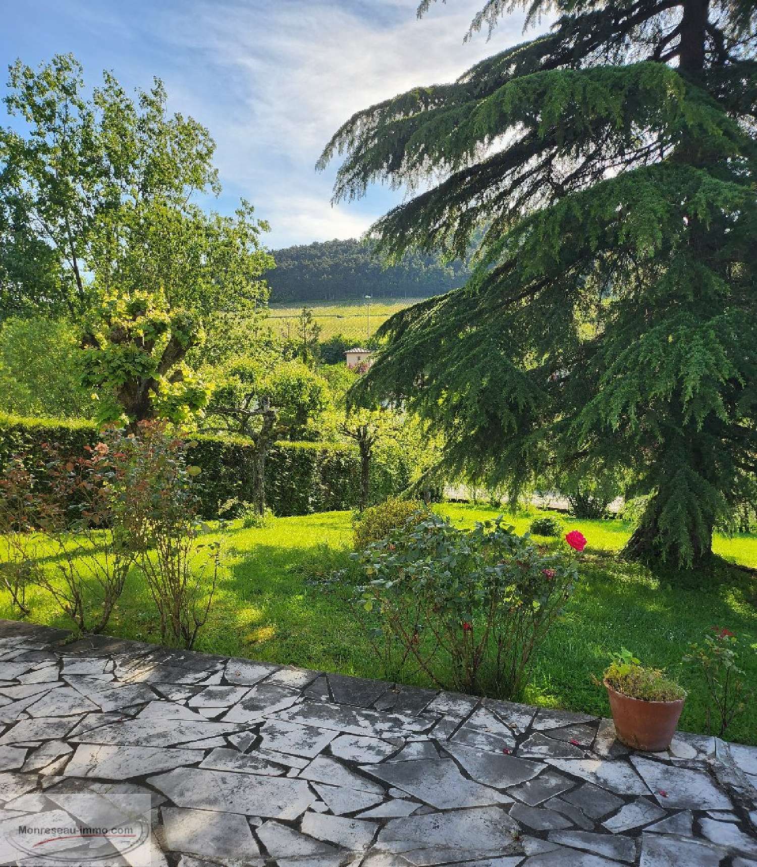 te koop huis La Roche-Vineuse Saône-et-Loire 3