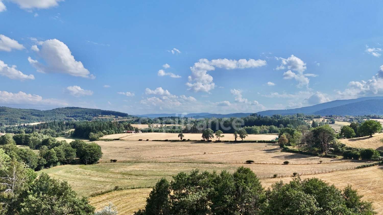  à vendre maison La Tuilière Loire 7
