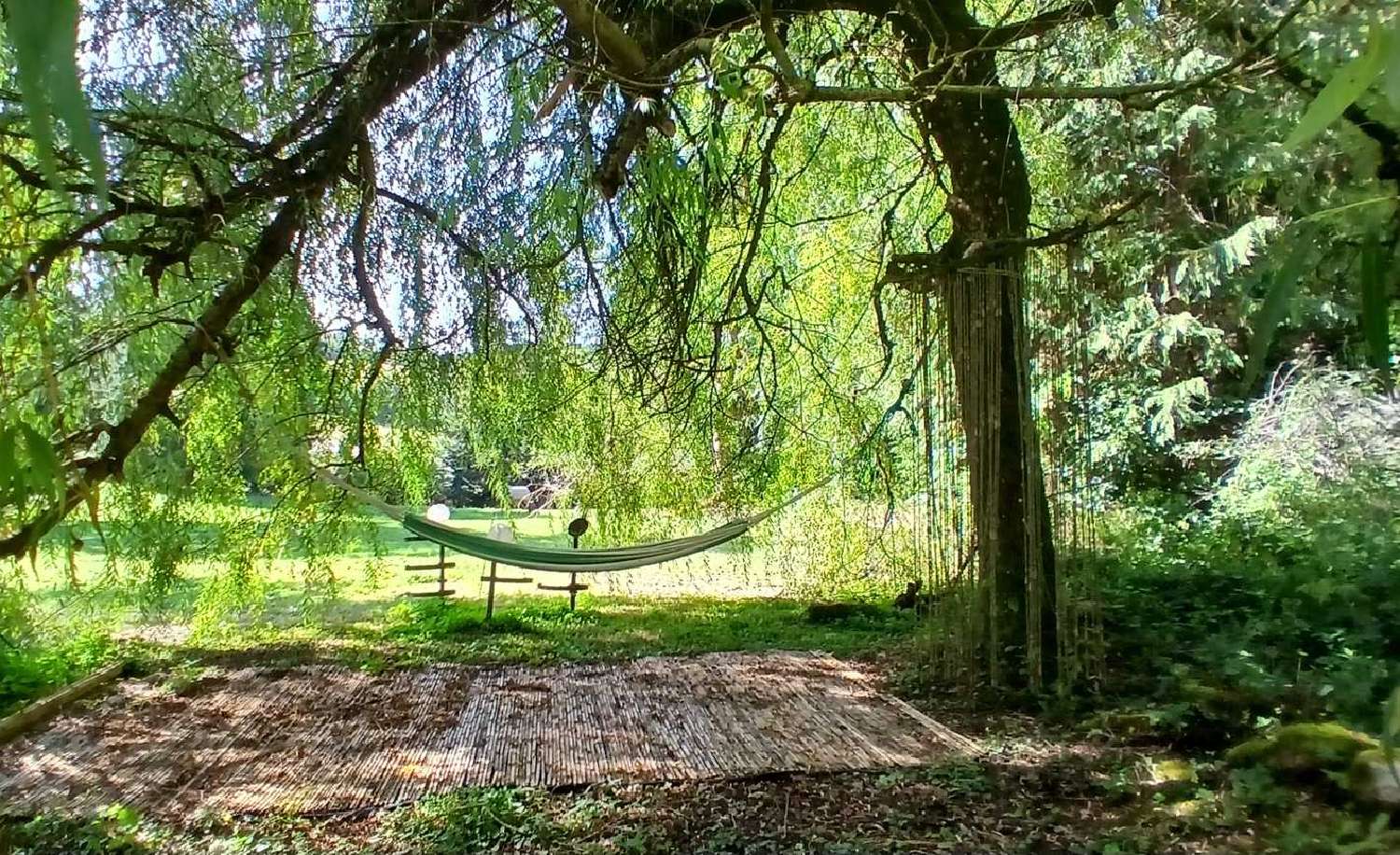  kaufen Haus Lacaune Tarn 6