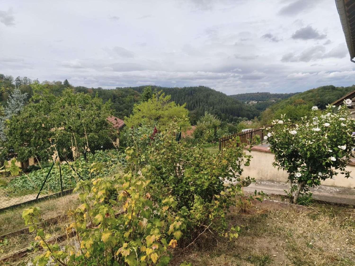 en venta casa Lambach Moselle 5